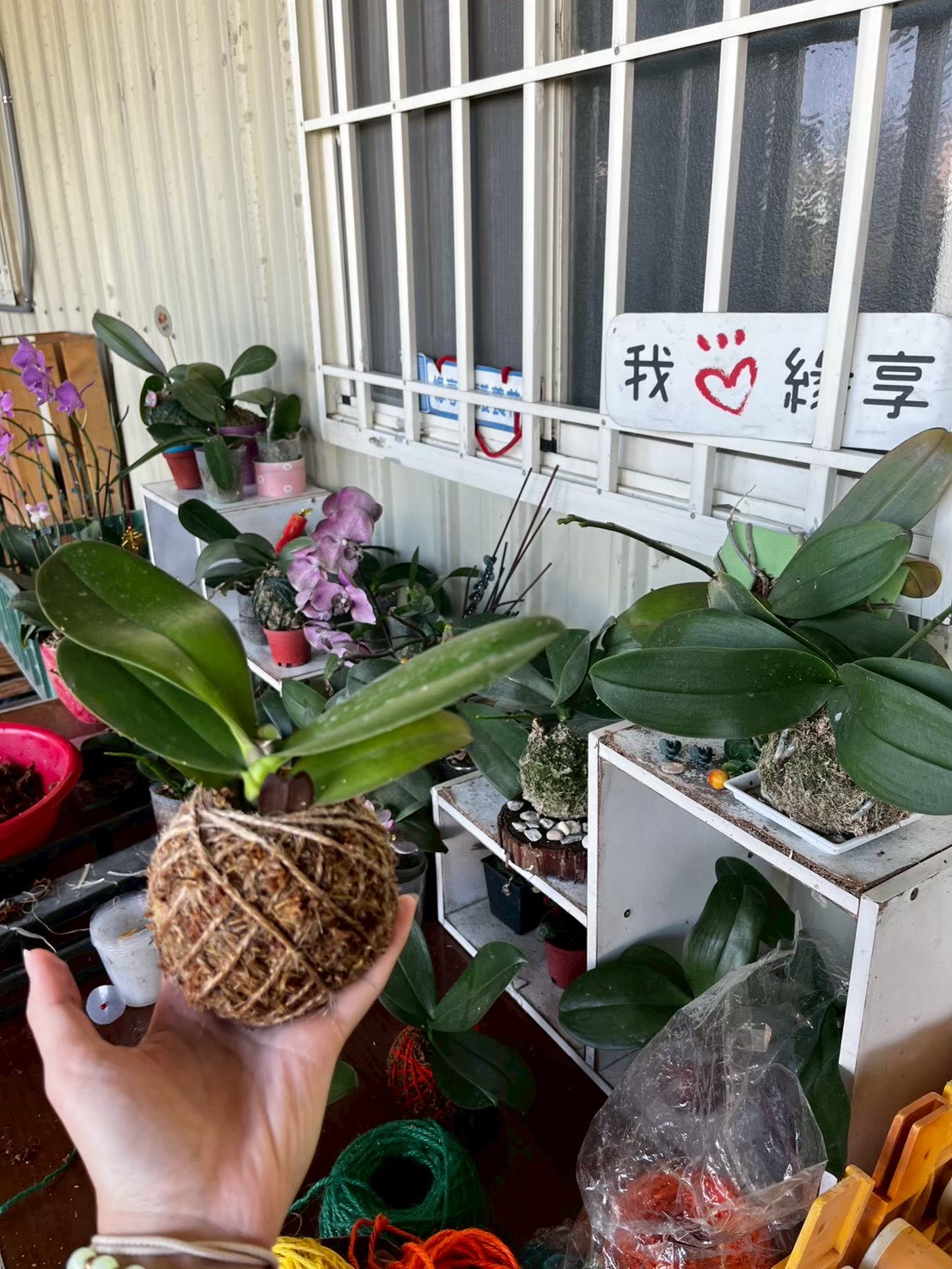 村里蚤市公益市集