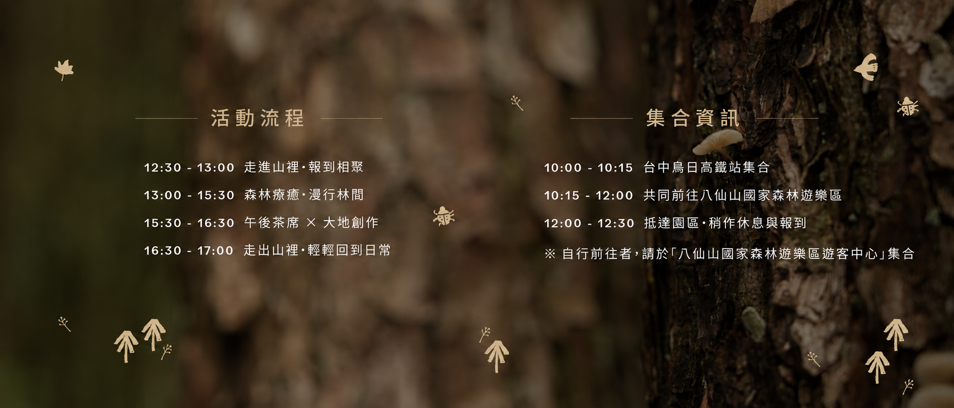 活動流程及集合資訊
