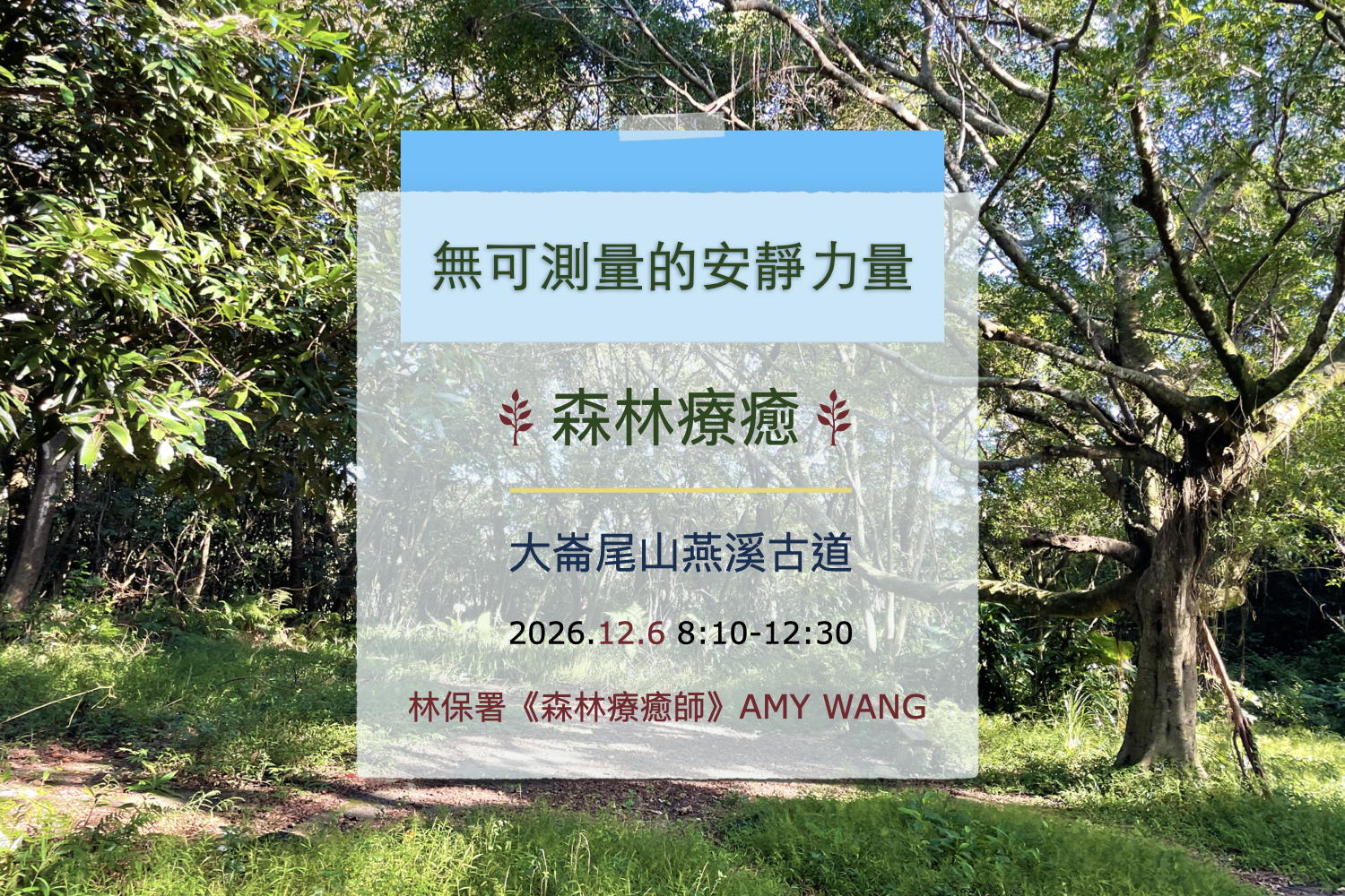 【森林療癒|無可測量的安靜力量|大崙尾山燕溪古道|12.6】
