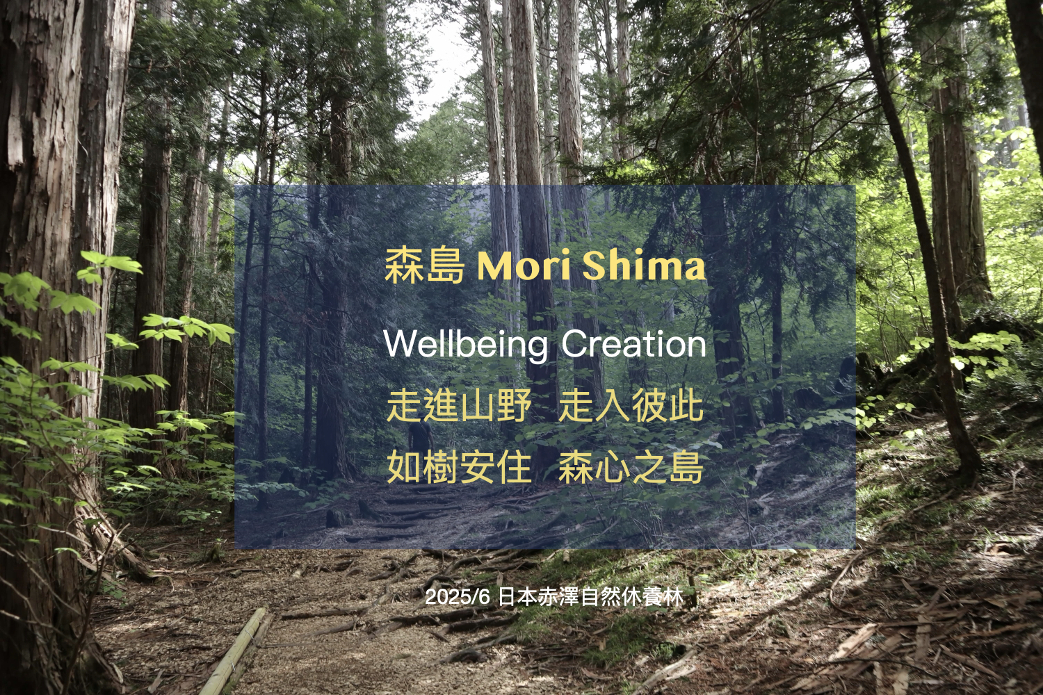 森島 Mori Shima