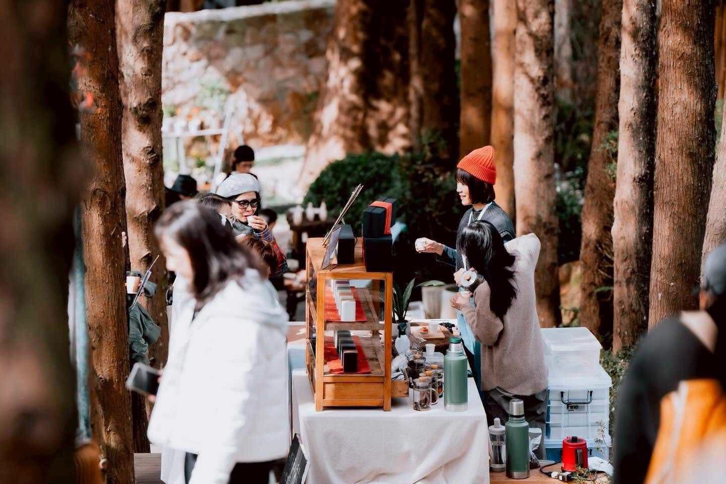 落羽松大道茶風格市集