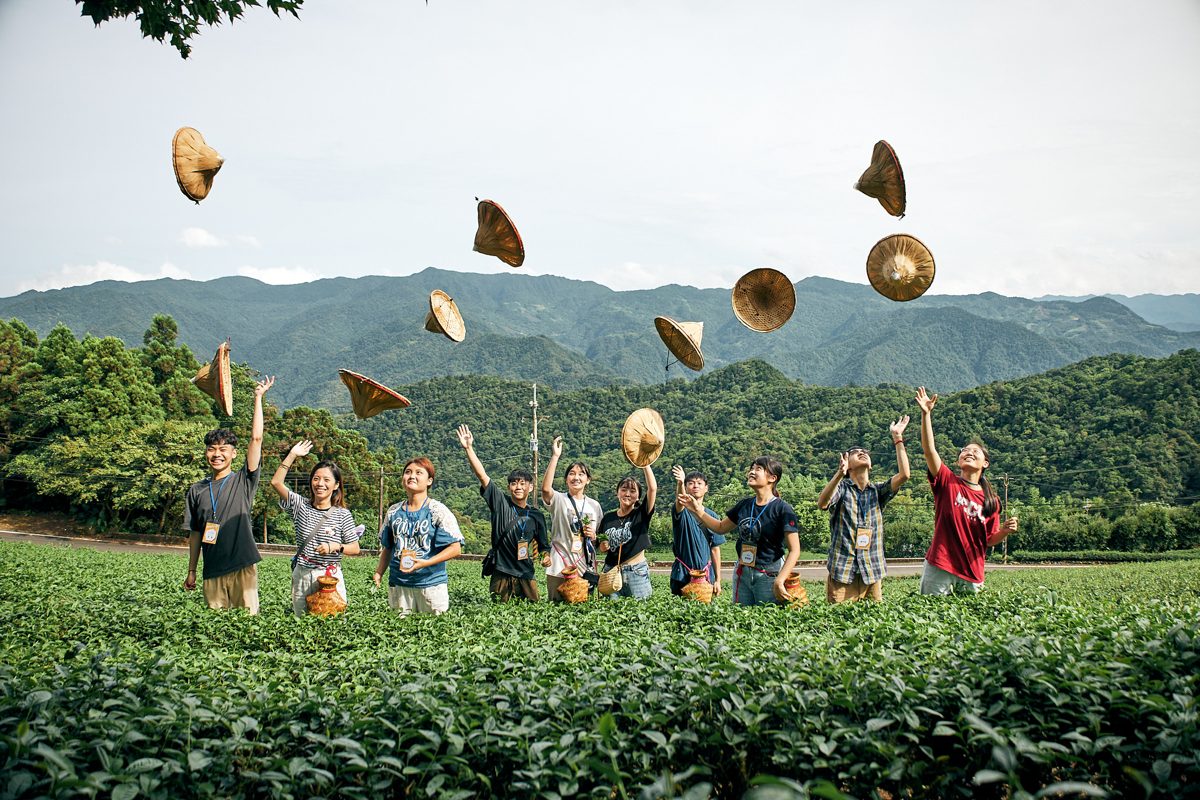 坪林生態茶園