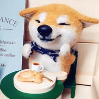 叁號公寓羊毛氈