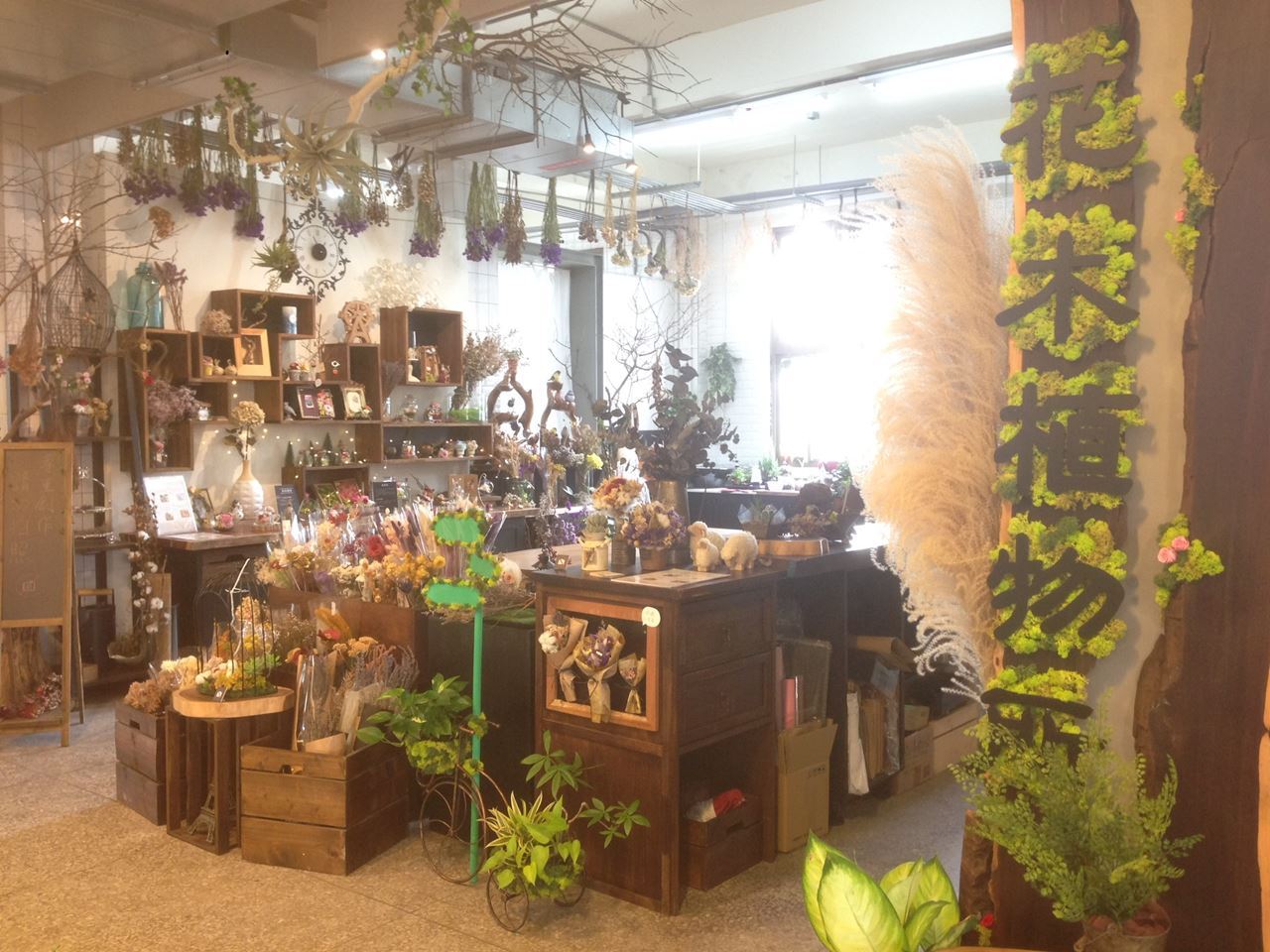 花木植物所