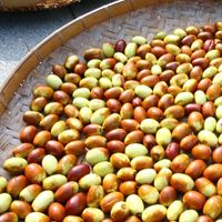 蔡依紜、任博揚