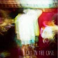 cat in the case.