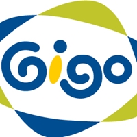 智高實業股份有限公司經理 林弘偉