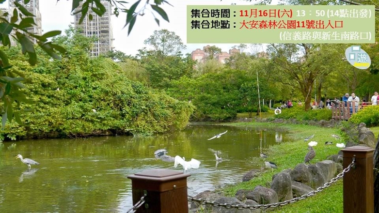 踏青去 大安森林生態遊 Accupass 活動通