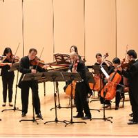 巴洛克獨奏家樂團