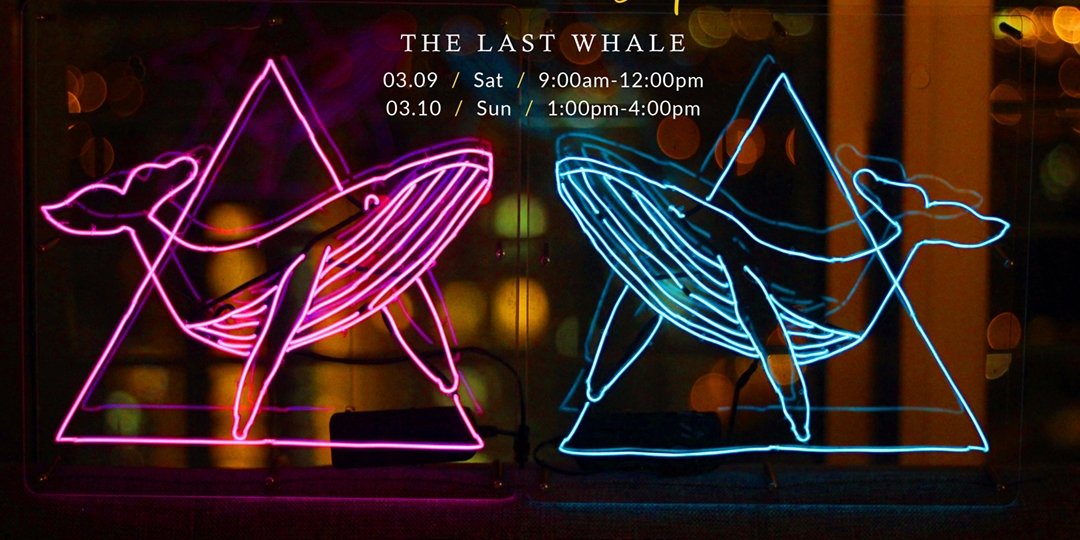 whale neon light