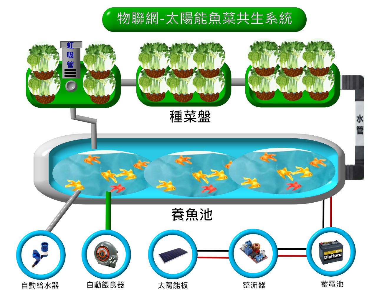 物聯網系統與魚菜系統結合