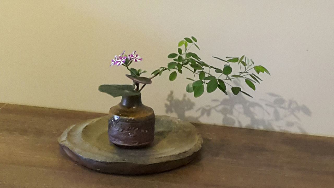 茶與花 心對話 Accupass 活動通 茶與花 心對話 Accupass 活動通