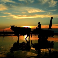 彰化縣海牛鄉土文化推廣協會