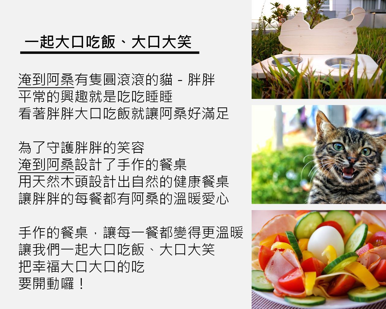 與毛小孩的專屬記憶-一起好好吃飯-寵物餐桌(特力屋台中西屯店