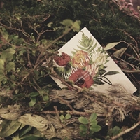 YEN (Jardin d'hiver)