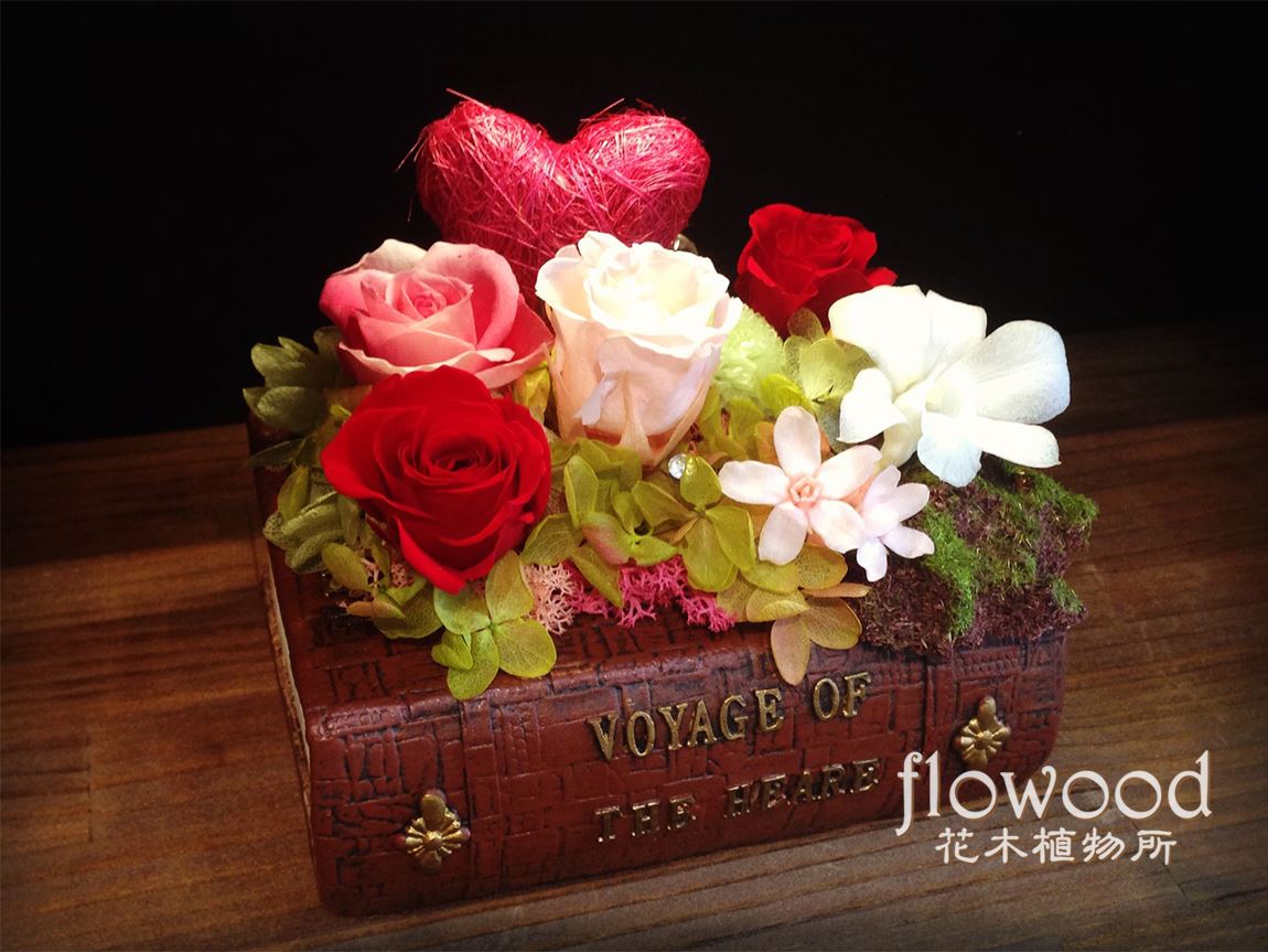 永生花-書香系列