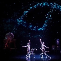 陰陽離子(變形蟲)