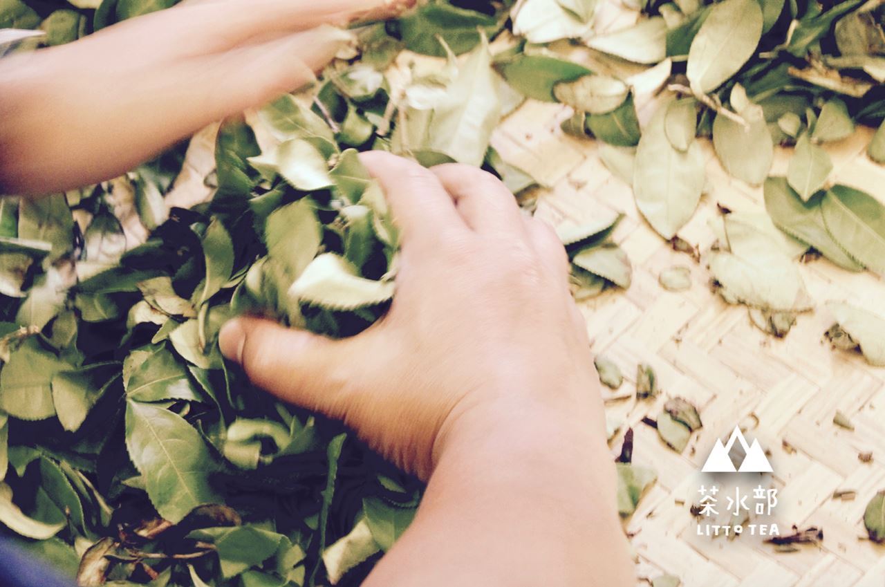 茶水部-製茶體驗-2