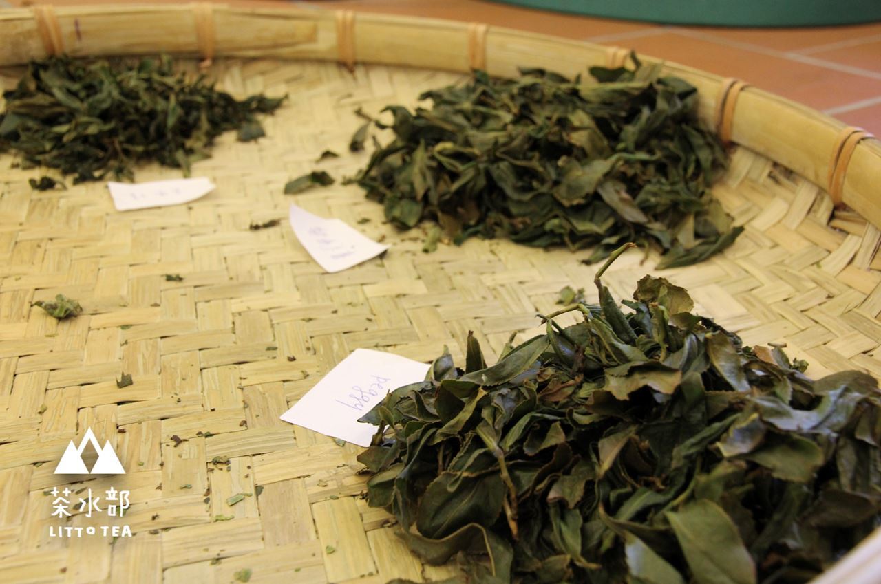 茶水部-製茶體驗-1