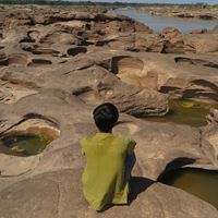 張志榮 (Yoyo Wing)