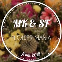 MK & SF 花式狂想