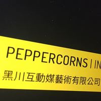 黑川互動媒體藝術有限公司