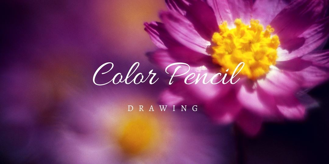 田園中的色鉛筆 花繪手繪技法座談 Accupass 活動通