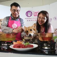 《美樂狗妙樂貓》