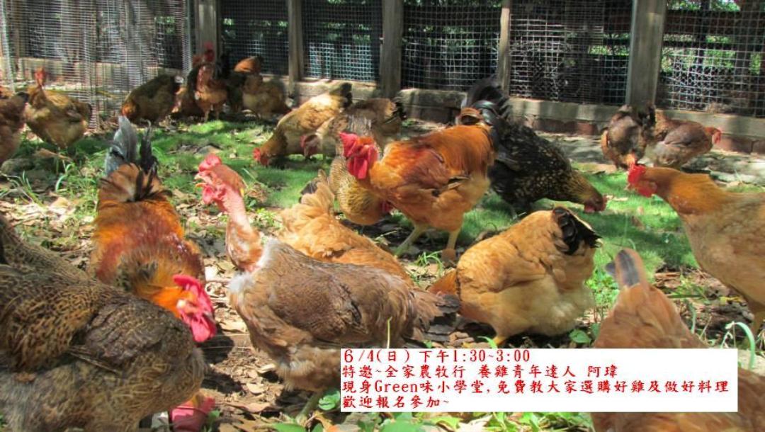 免費精選課程，