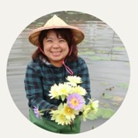 雅雅