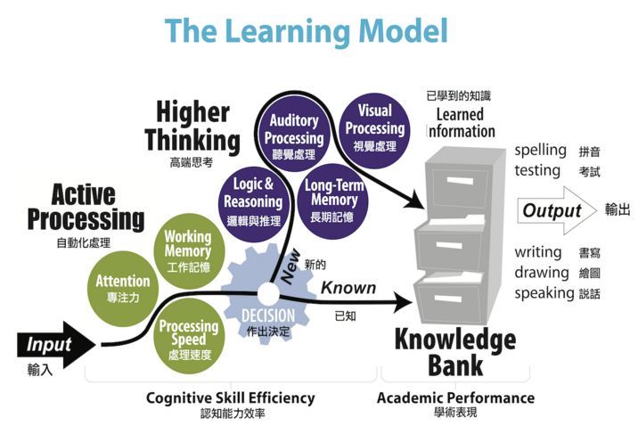 大腦七大項認知學習功能