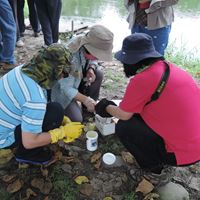 濕地水質追追追