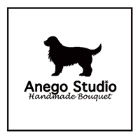 Anego Studio