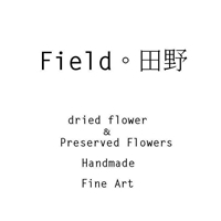 Field 田野