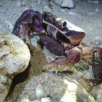 豐富潮間帶生態