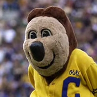Oski