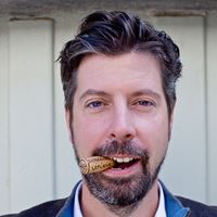 安東 勒皮提 德拉賓