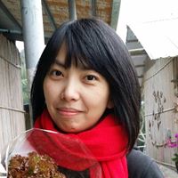 陳長芸/社企導師