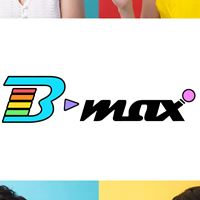 B-MAX 馬克筆