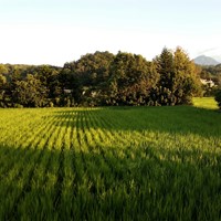 南埔社區發展協會