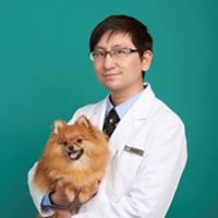達特王Dr.旺