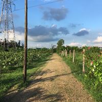 安心家生態教育農園