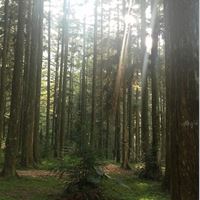 惠蓀林場