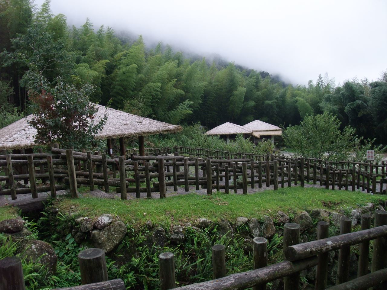 山林步道恣意氛多精