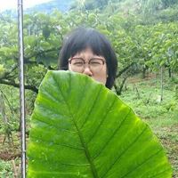 安妮