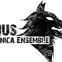 天狼星口琴樂團