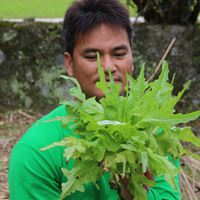 哈魯尚（黃正宏）