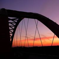 余風（南極冰魚）