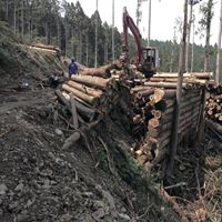 正昌製材有限公司