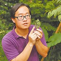 林俊豪 (蜘蛛老師)